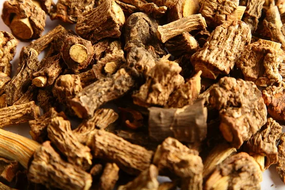 Sarsaparilla Root benefits