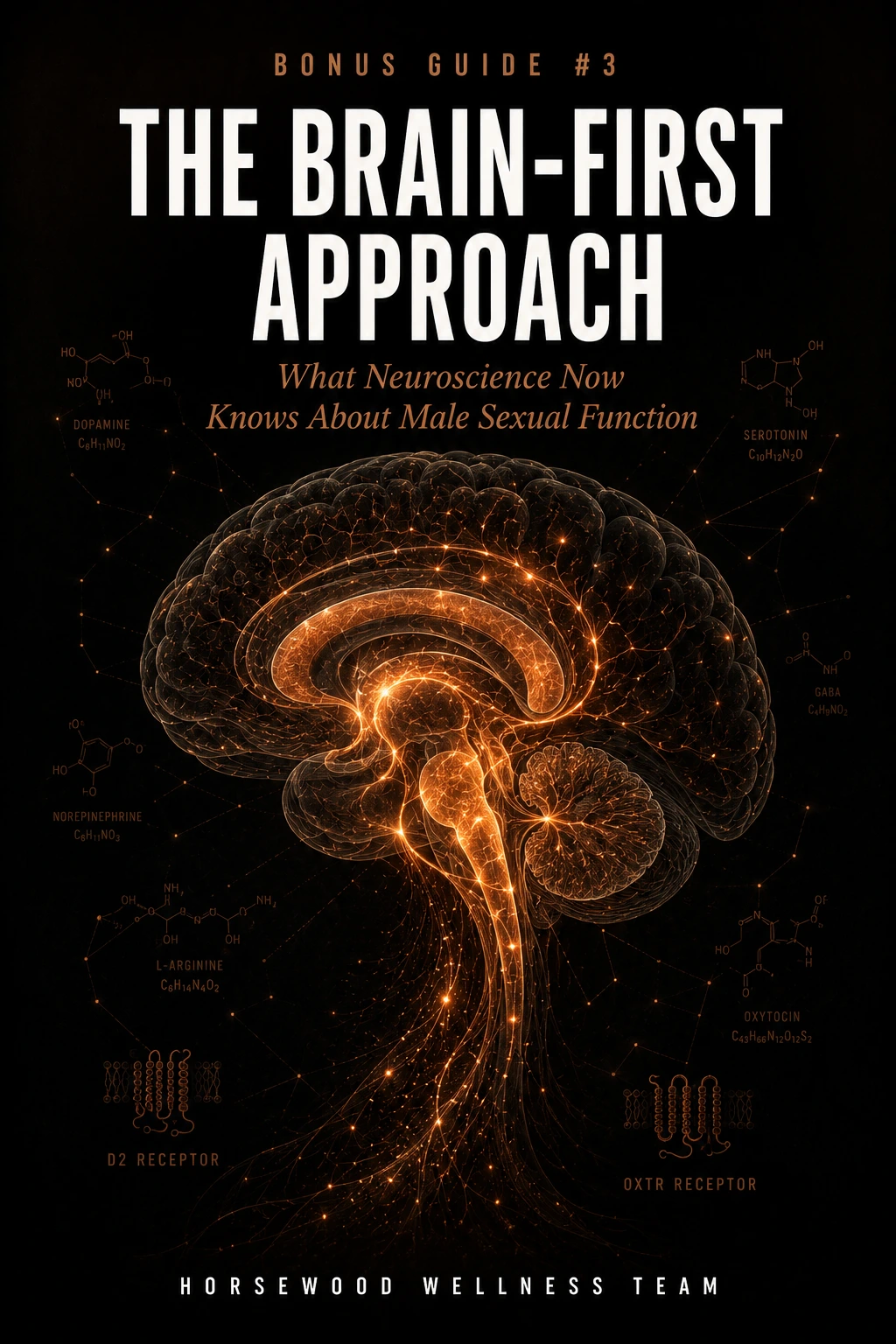 Bonus Guide 3 — The Brain-First Approach